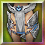 Holy Knight Assassin Pads (+2)